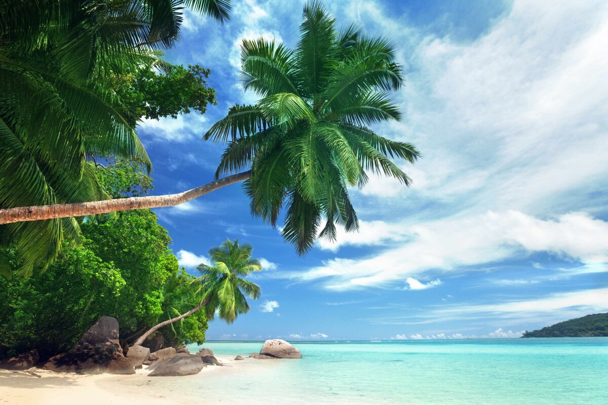 Fotolia_62369191_Subscription_XL.jpg